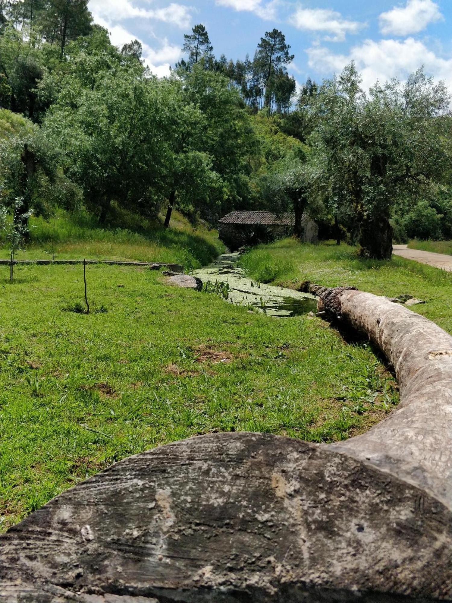 Poco E Meio - Padel & Pool Santiago da Guarda Экстерьер фото